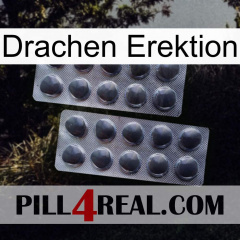 Dragon Erection 31